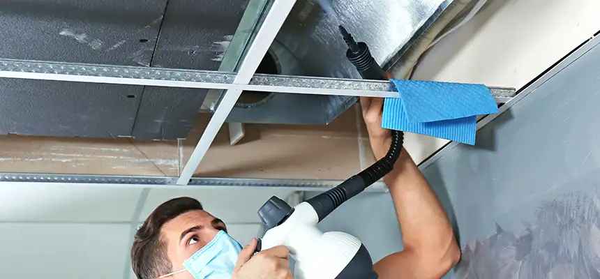 Our Air Duct Rodent Removal Services in Middletown, OH