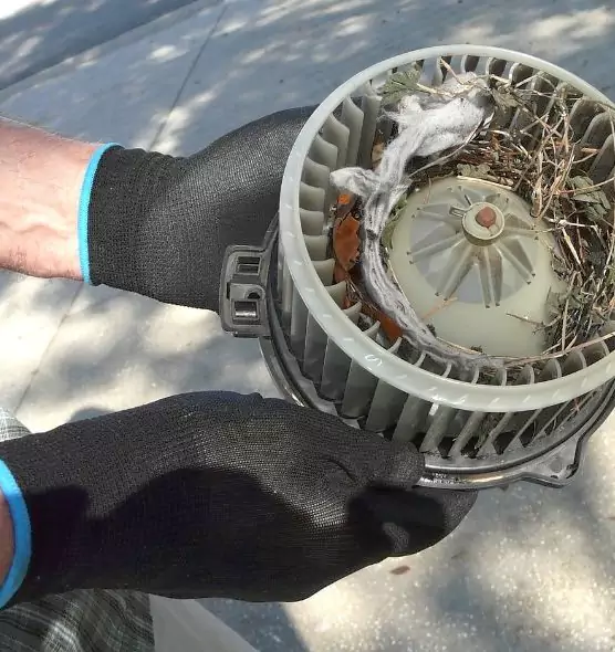 About Air Duct Rat Removal in Middletown, OH