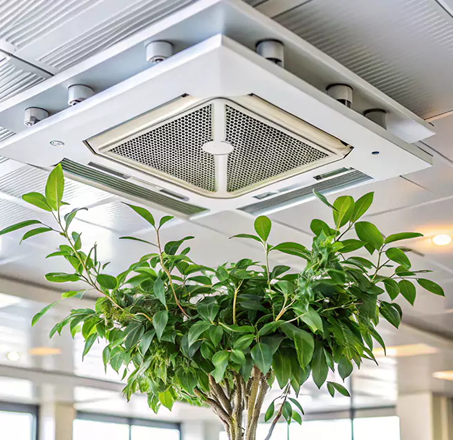 Why Homeowners & Businesses Trust Us in Middletown, OH?